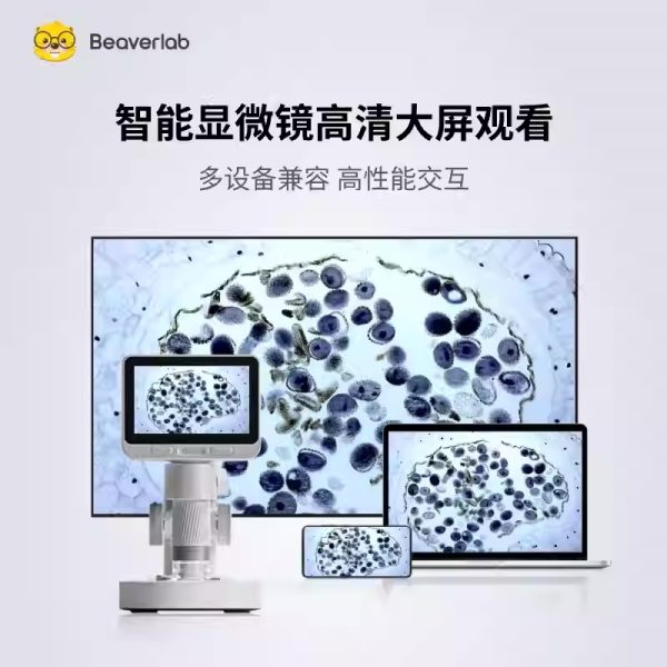 儿童科学显微镜 - 图片 4